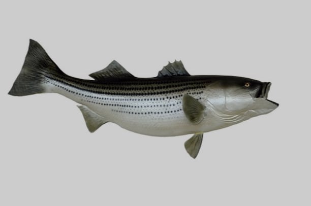 luyu37.lens Lens social identity (.lens handle) PFP