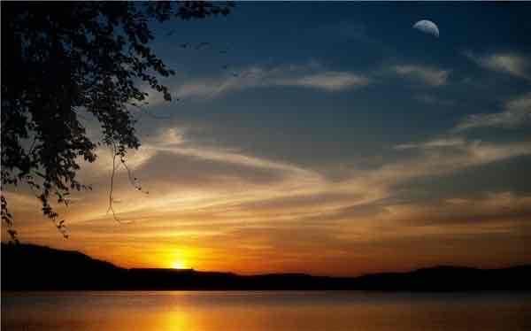 Daniel Hernandez (tobypancy) Farcaster social identity (Fname handle) PFP