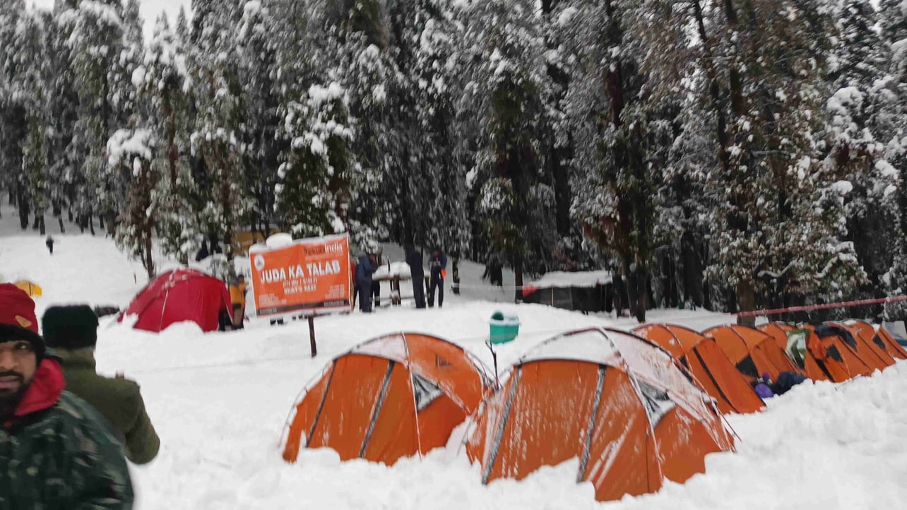 Crypto Adam (cryptowise) Farcaster social identity (Fname handle) PFP