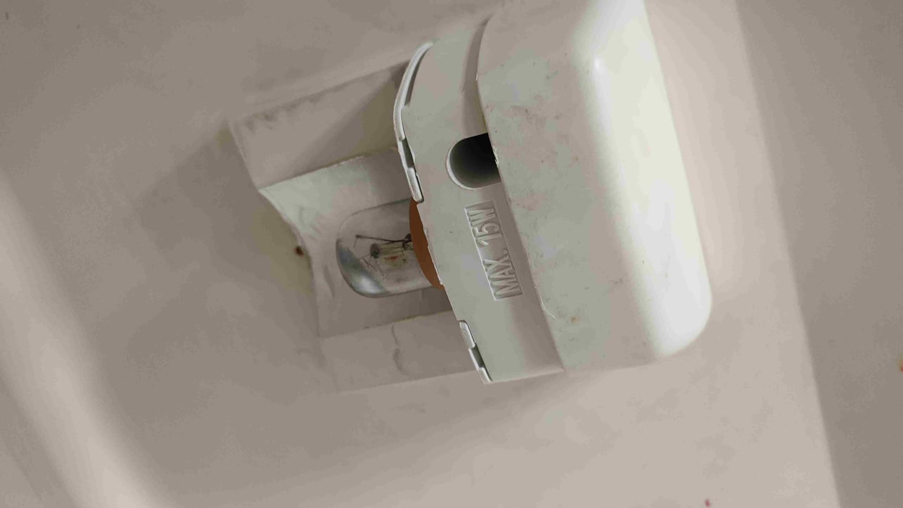 damihohoho.lens Lens social identity (.lens handle) PFP