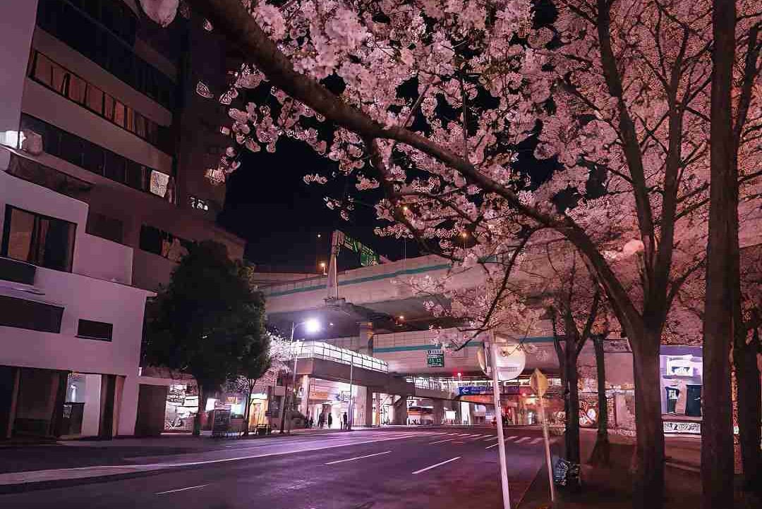 De kd (yahkalah) Farcaster social identity (Fname handle) PFP