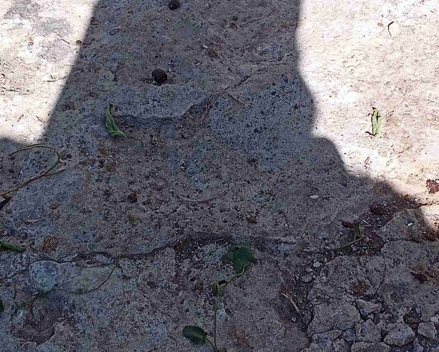 deniz (sail2web3.lens) Lens social identity (.lens handle) PFP