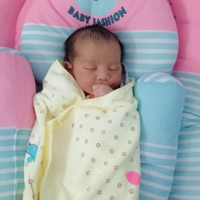 Shamsul Alam (ร,G) (๐,๐) pfp