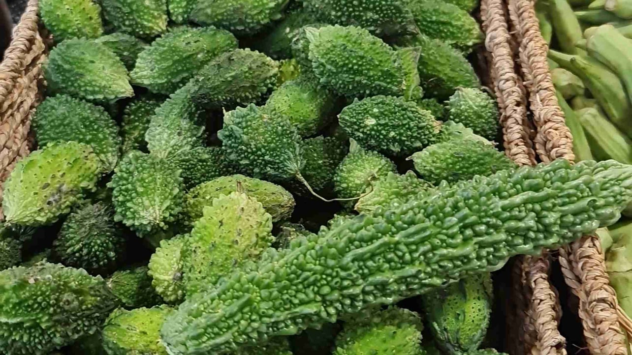 exowl.lens Lens social identity (.lens handle) PFP