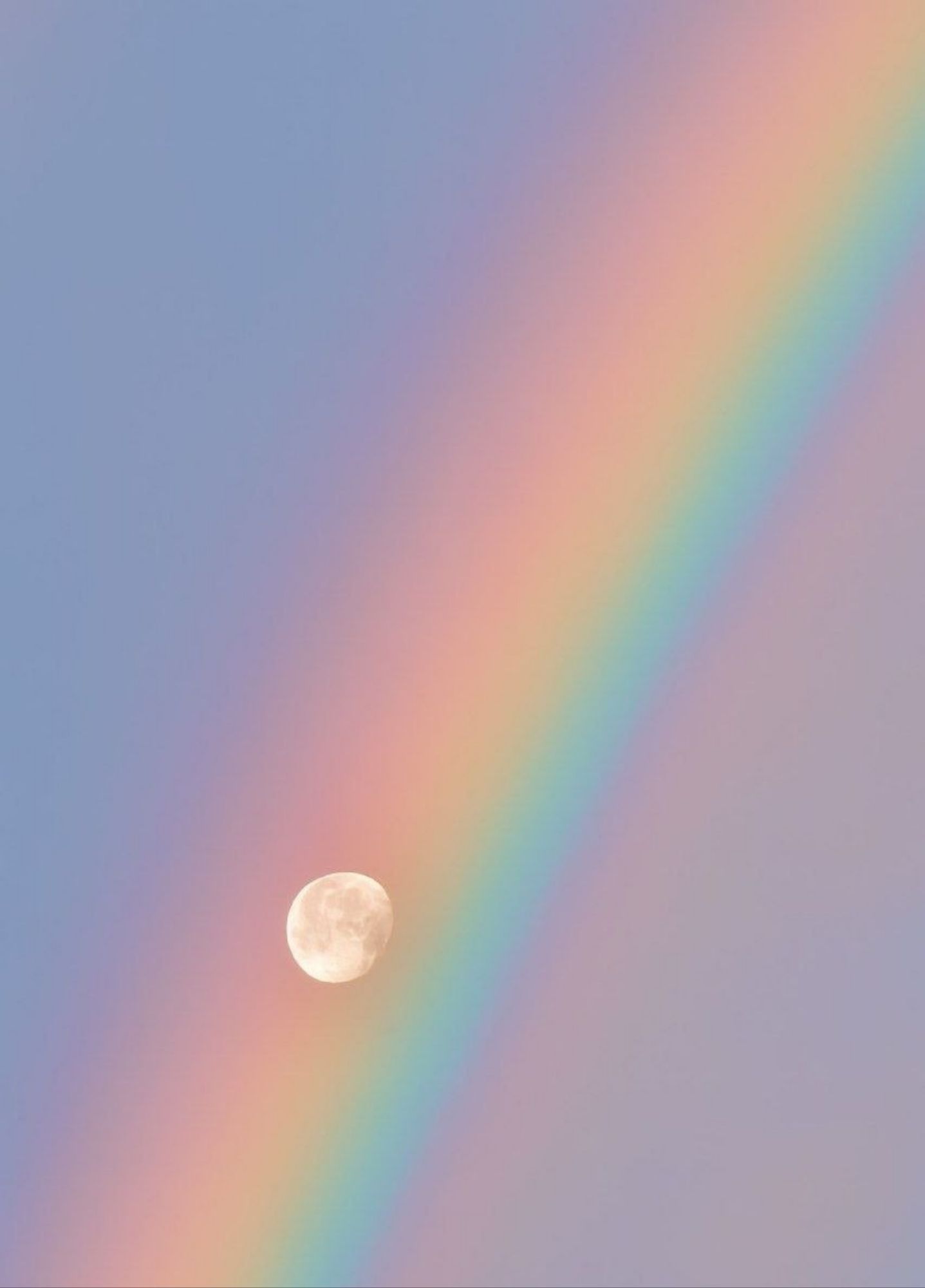 rainbow2026