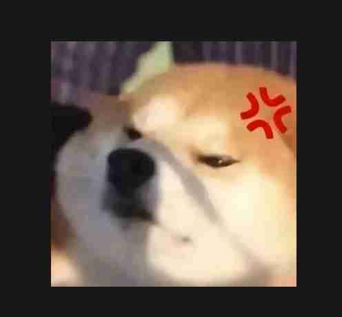 kaipule Farcaster social identity (Fname handle) PFP