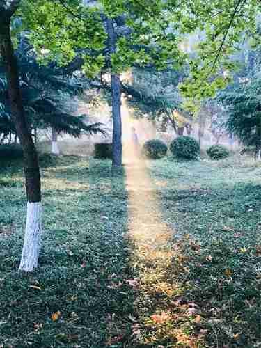 fqrhet Farcaster social identity (Fname handle) PFP