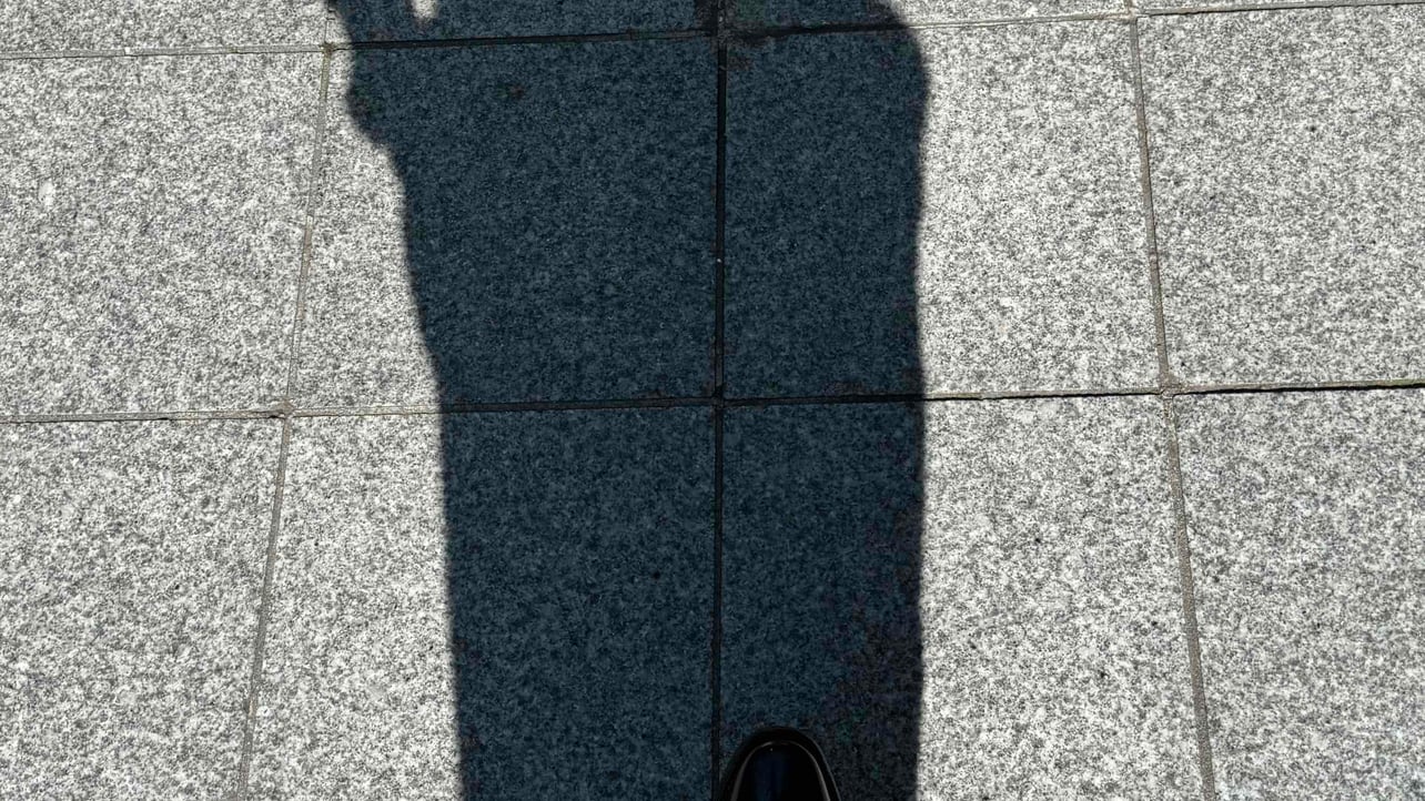 こむぎ pfp