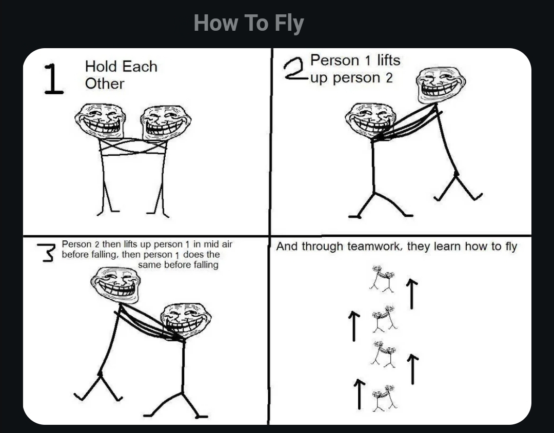 fly