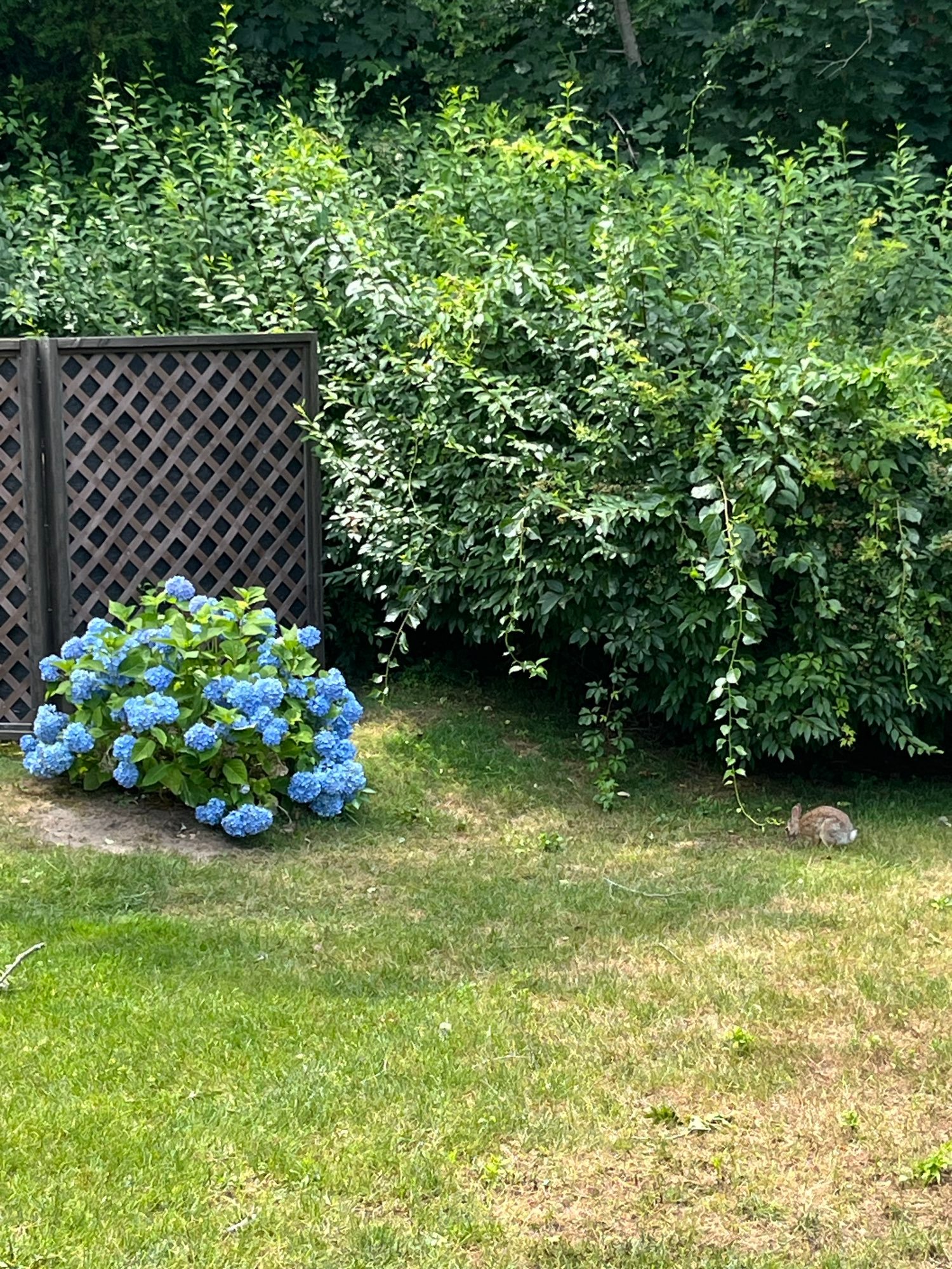 Embed from @nounishprof