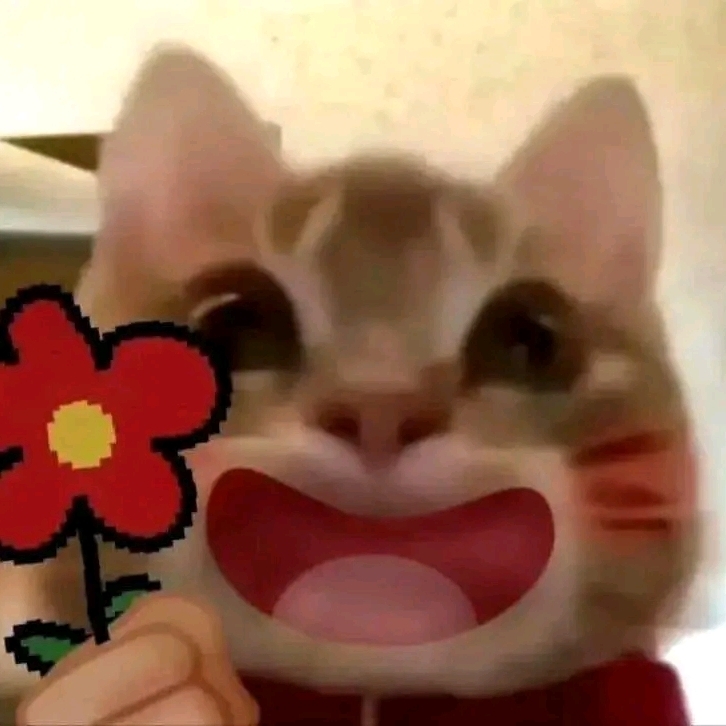nikkai pfp
