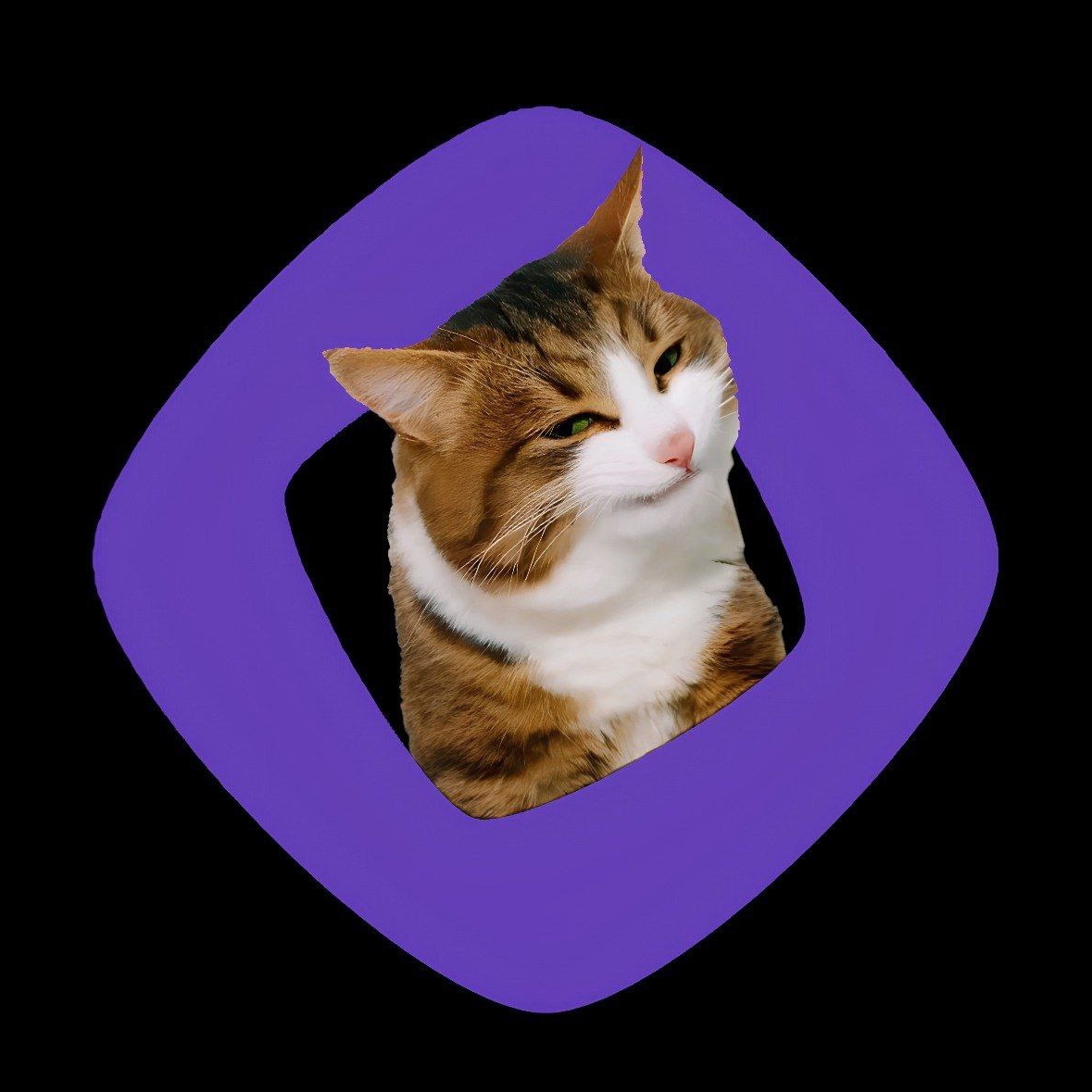 moncats pfp