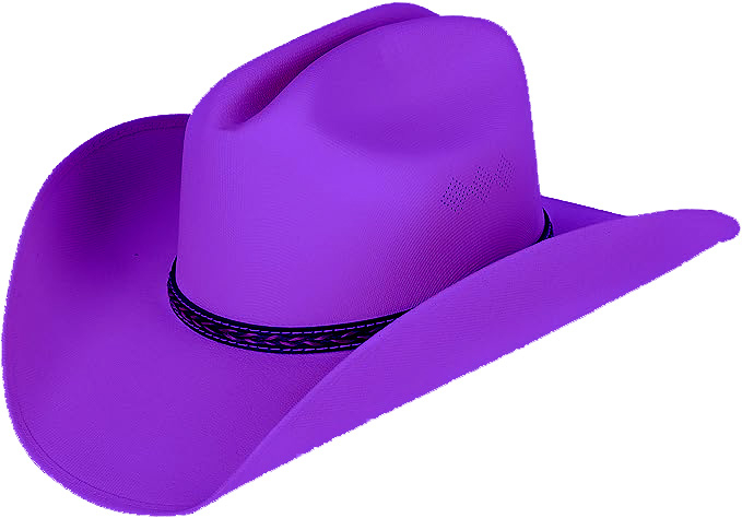 Purple Outlaw