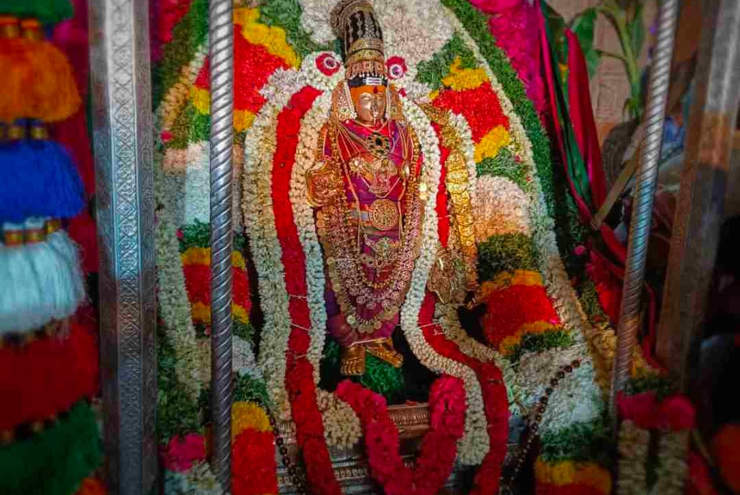 Paaru (paarujeeva.lens) Lens social identity (.lens handle) PFP