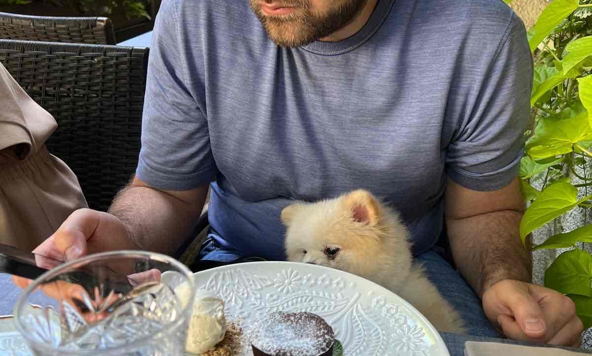 emilka.lens Lens social identity (.lens handle) PFP