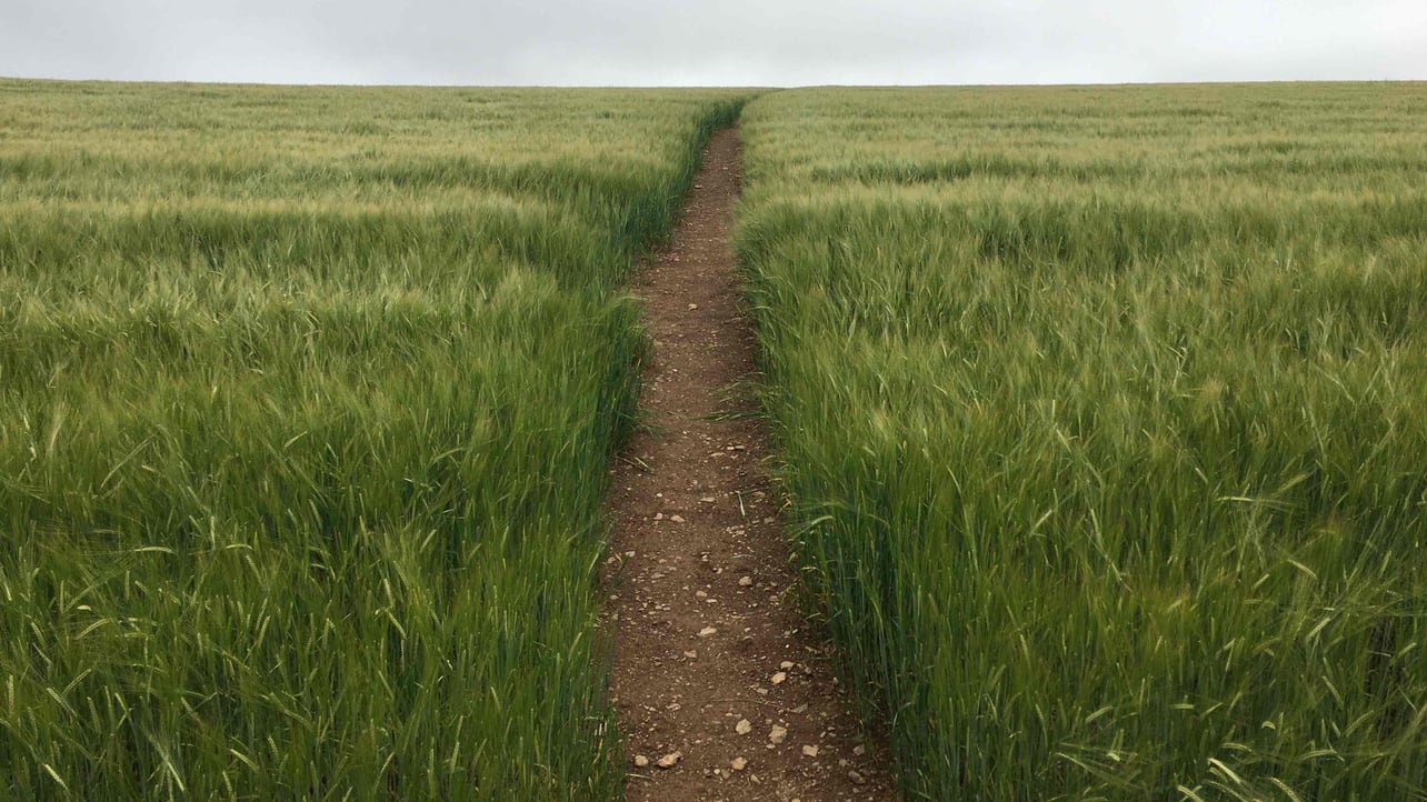 vaporway Farcaster social identity (Fname handle) PFP