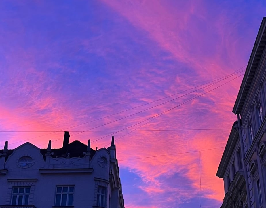 Vikusia (vikusia.lens) Lens social identity (.lens handle) PFP