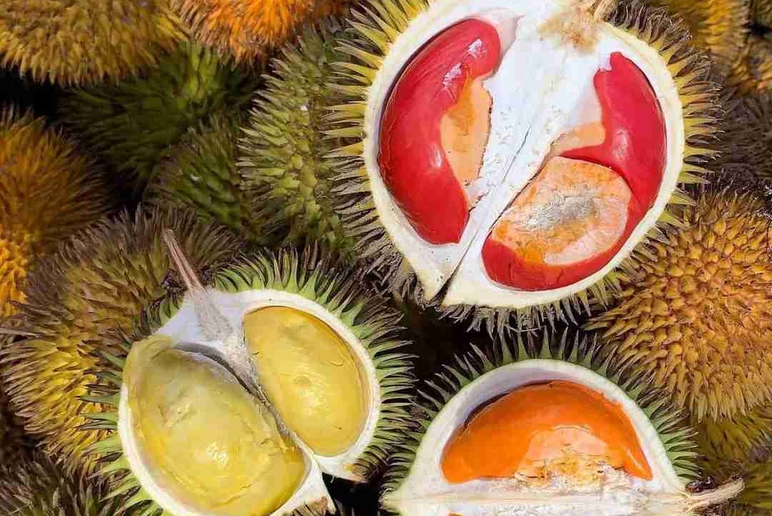 2hays (denward) Farcaster social identity (Fname handle) PFP