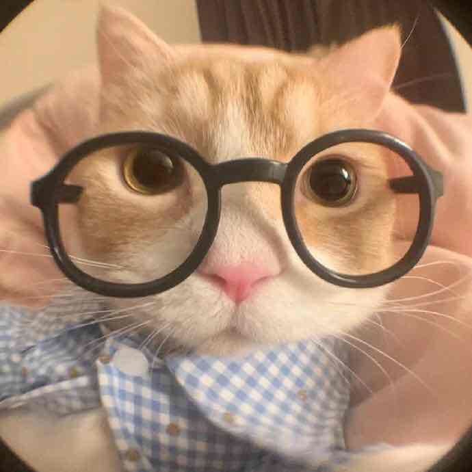 Dengxue212 (dengxue212) Farcaster social identity (Fname handle) PFP