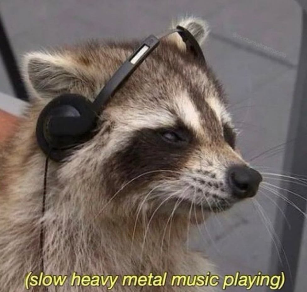 zoo pfp