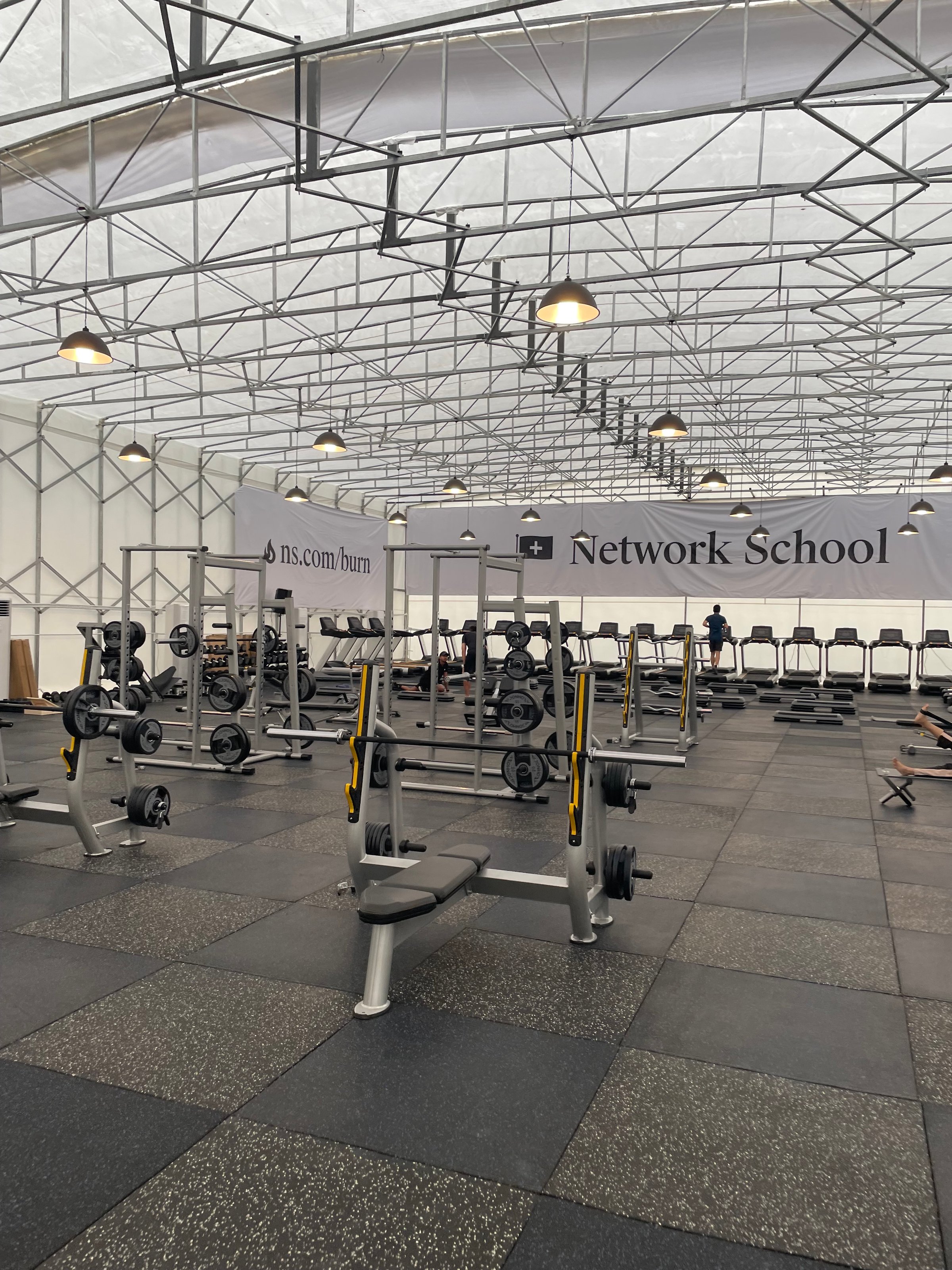 Embed from @beecurious