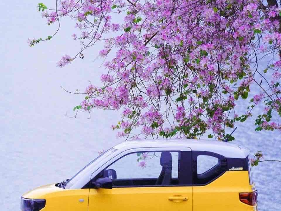 AchillesWallis  (achilleswallis) Farcaster social identity (Fname handle) PFP