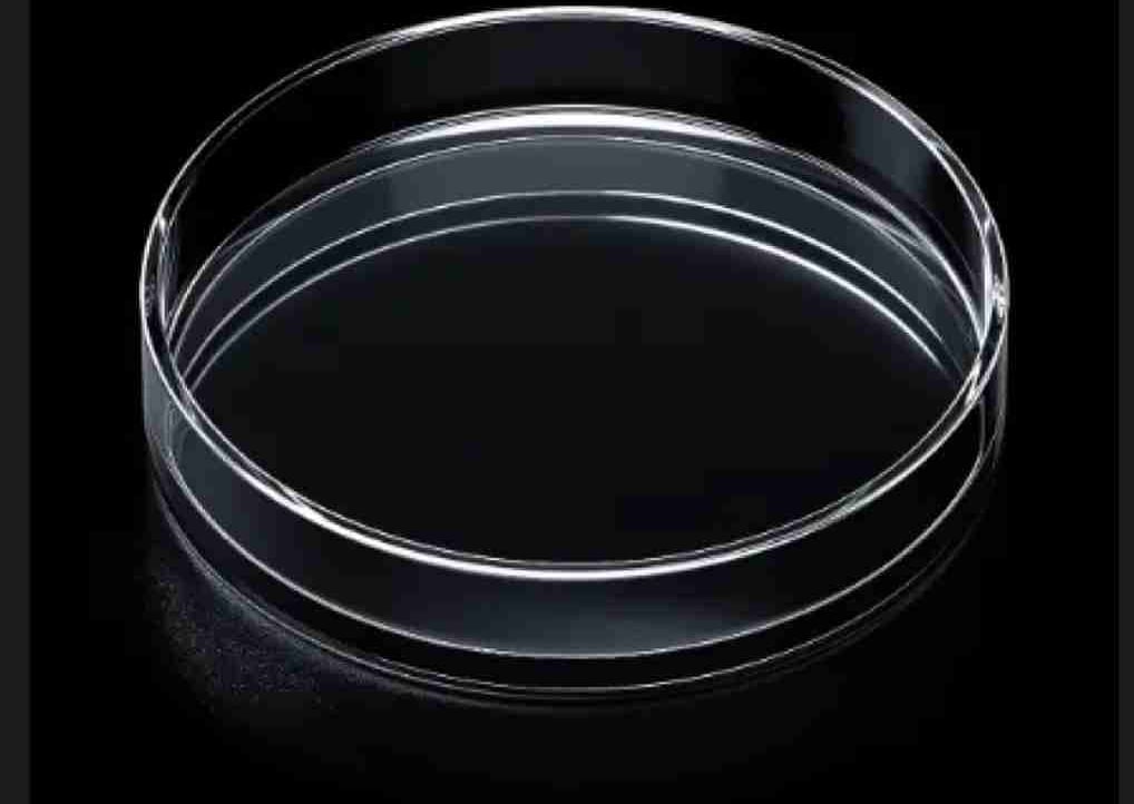 mines4.lens Lens social identity (.lens handle) PFP