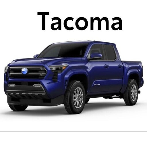 2025 Tacoma Based Racing Development Pro