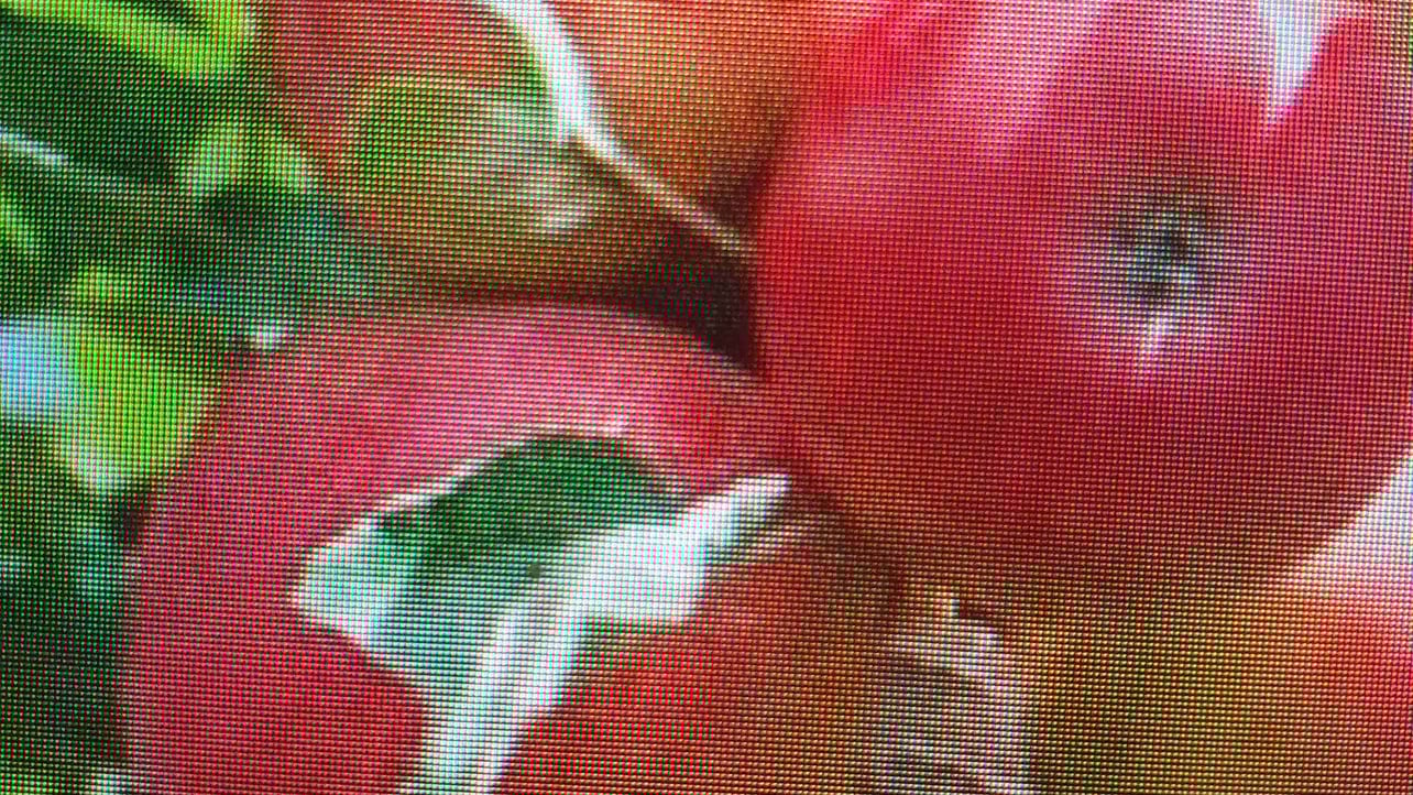 Hi, I Am Gala (sugala) Farcaster social identity (Fname handle) PFP