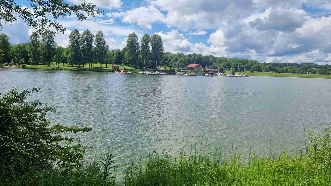 fingolfin (fingolfin.lens) Lens social identity (.lens handle) PFP