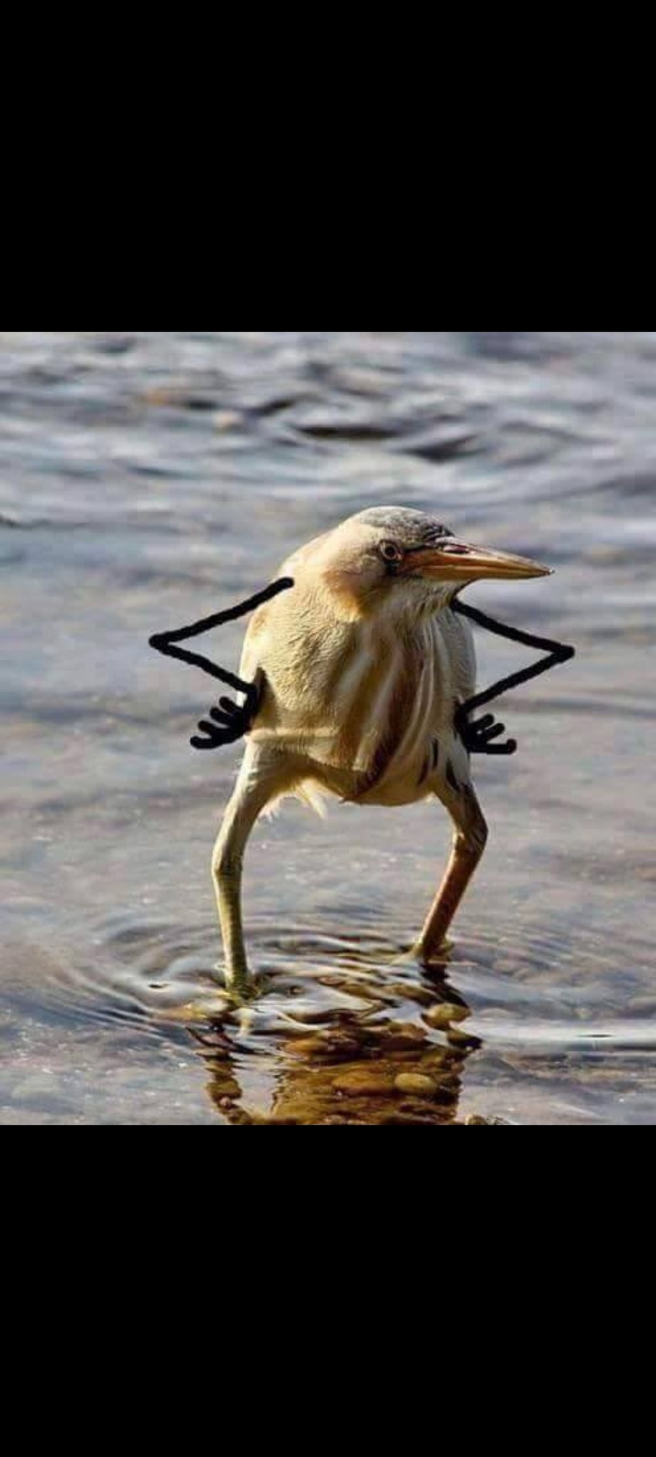 deconomic$.degen.eth🎩 pfp