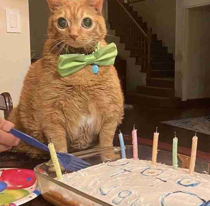 AraurneStoneBabixz (araurnestonebabi) Farcaster social identity (Fname handle) PFP