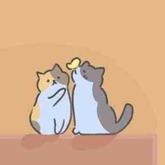 ma__asma pfp