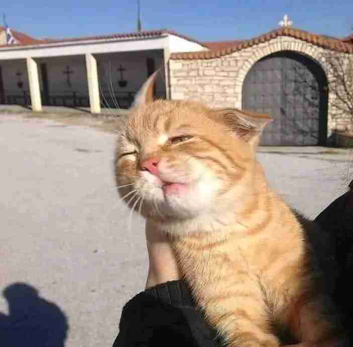 dernxz.lens Lens social identity (.lens handle) PFP