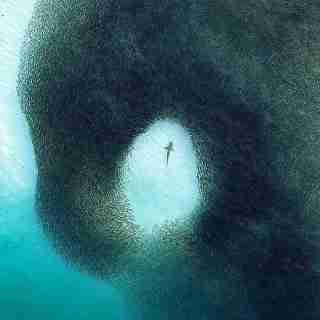 gengetsu◱ ◱ (thdtfhdthdth.lens) Lens social identity (.lens handle) PFP