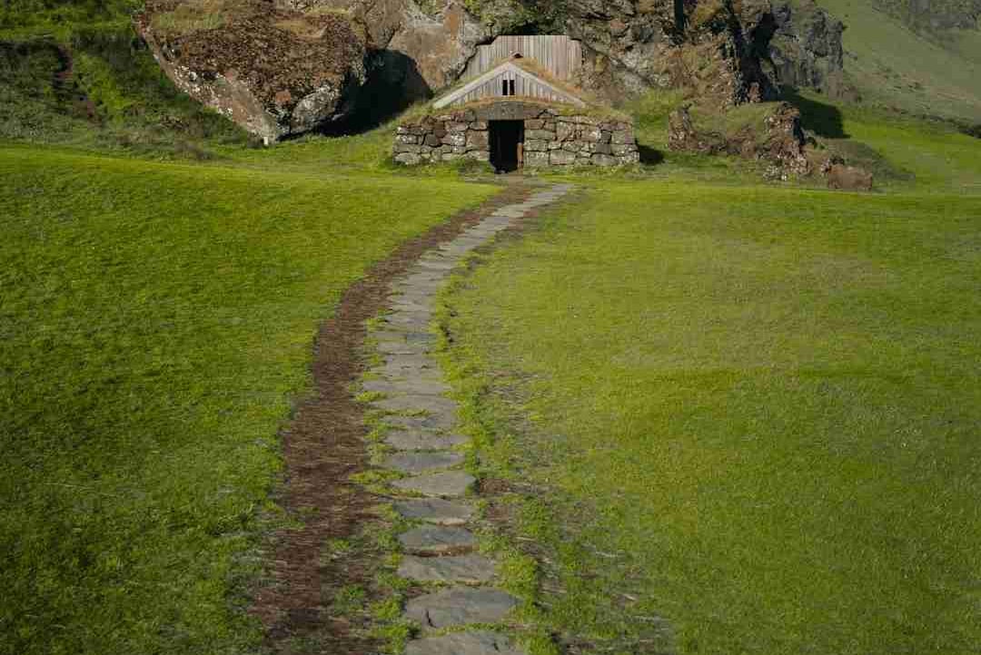 yellow_monkey (lilianrcypea) Farcaster social identity (Fname handle) PFP