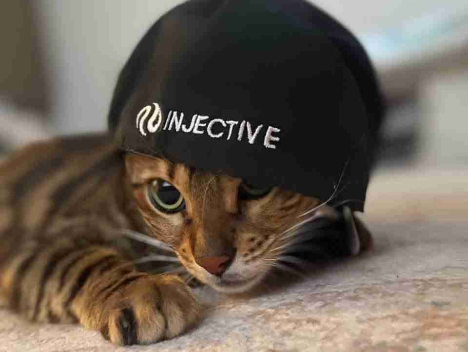 Sagitt (sagittlmt) Farcaster social identity (Fname handle) PFP