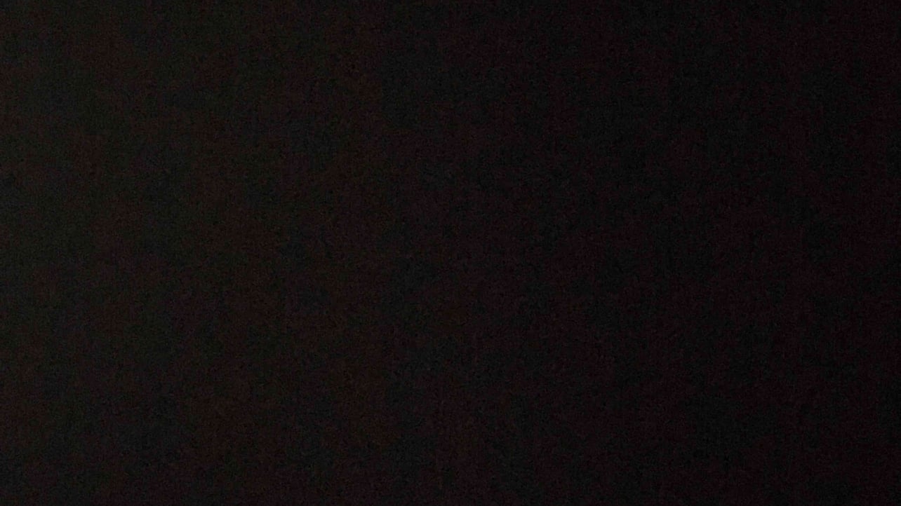 BoldTimothy pfp