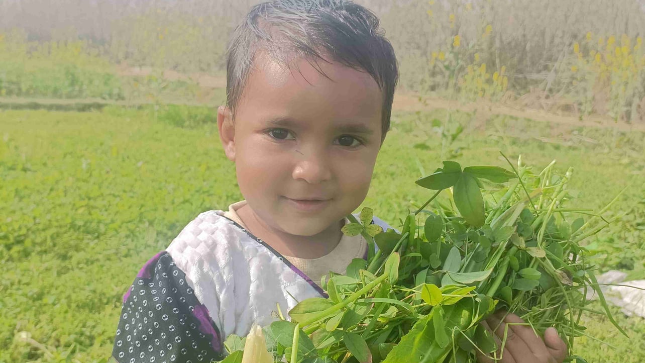 Ather (athermehmood.lens) Lens social identity (.lens handle) PFP