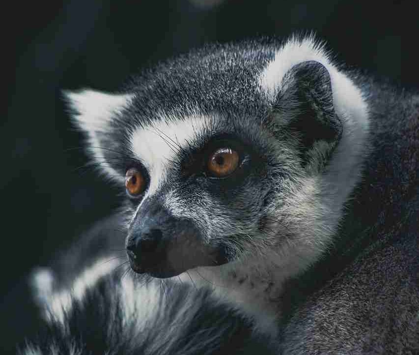 Maximilione9e (maximilione9e) Farcaster social identity (Fname handle) PFP