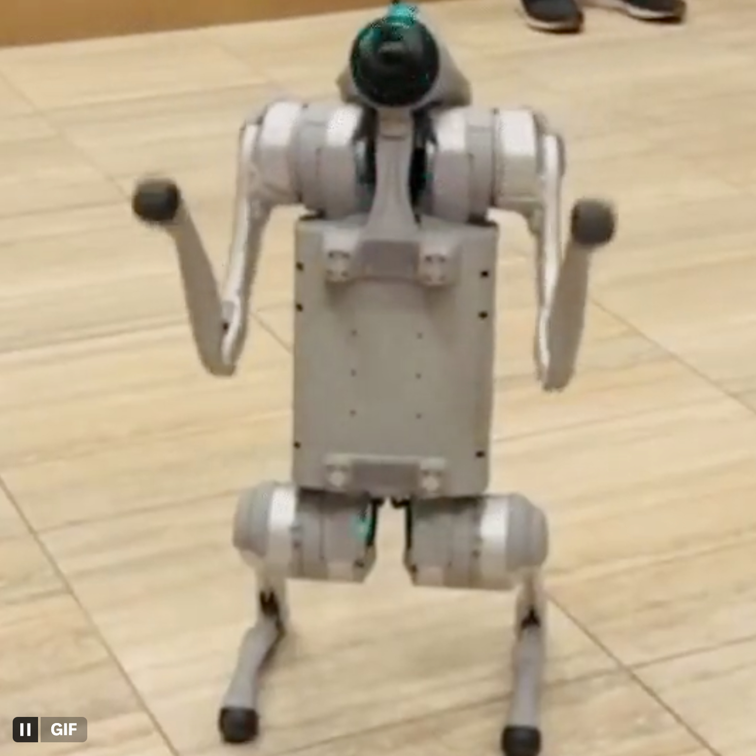Coinbase robodogs