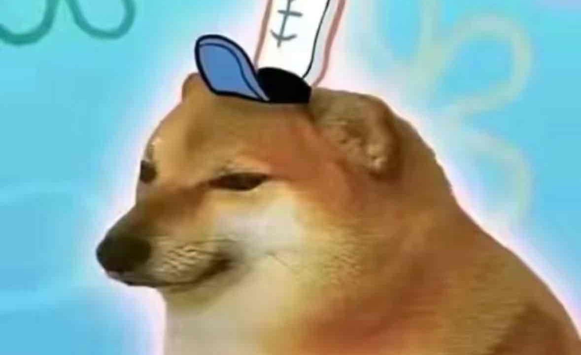 RBVV🟦 pfp