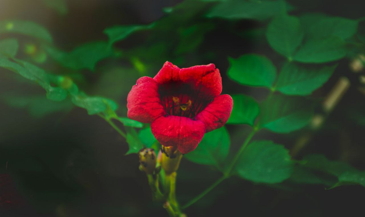 https://imagedelivery.net/BXluQx4ige9GuW0Ia56BHw/a66113b2-a4f3-45c2-d81e-95aec1039200/original