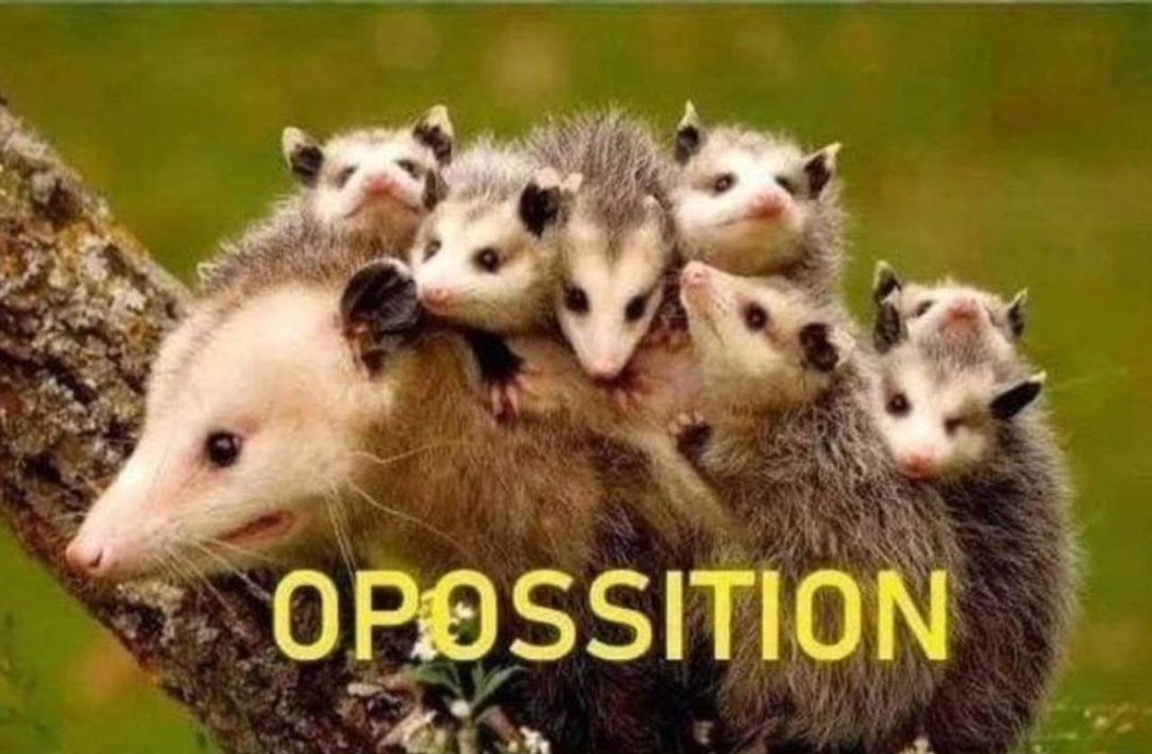 OPOSSITION