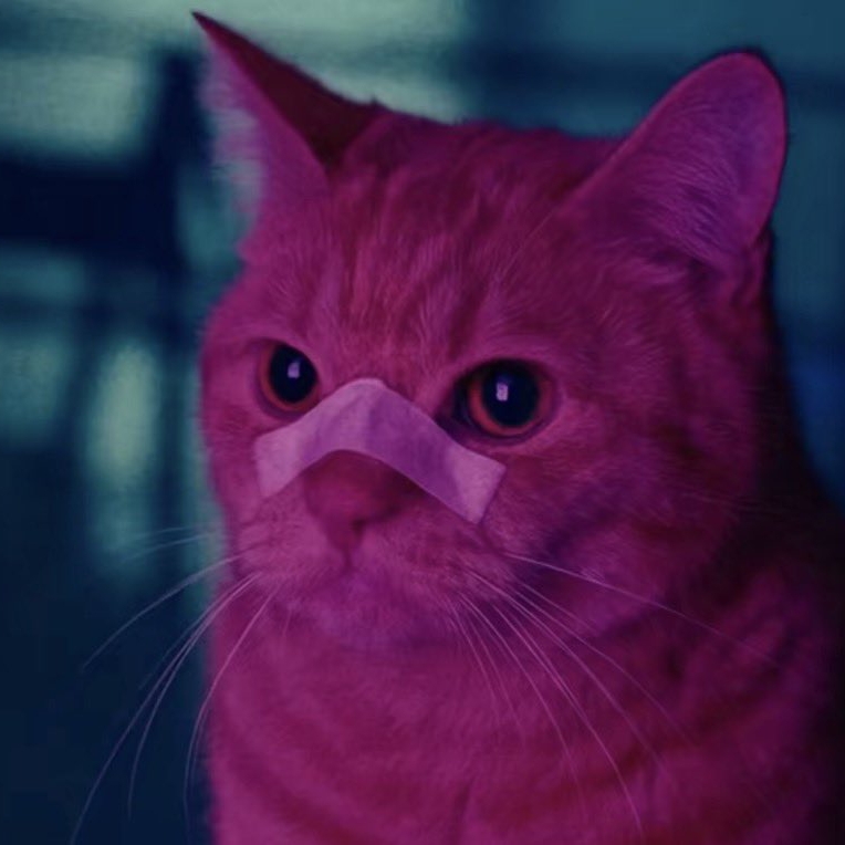 0code (fvnkyfvce) Farcaster social identity (Fname handle) PFP