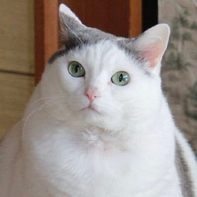 稲垣 pfp