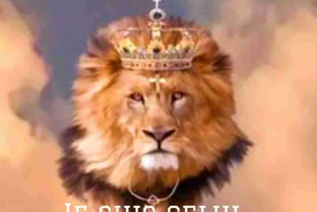 atomik13 Farcaster social identity (Fname handle) PFP