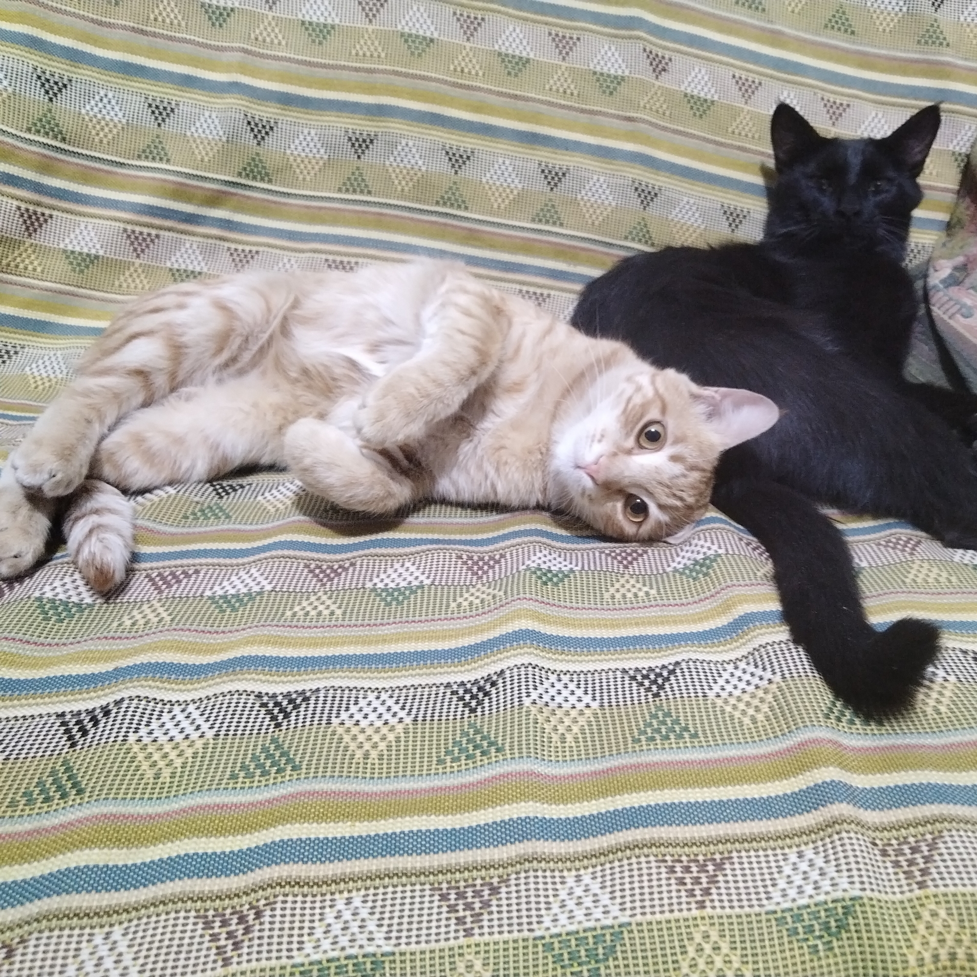 Gunner1993.base.eth pfp