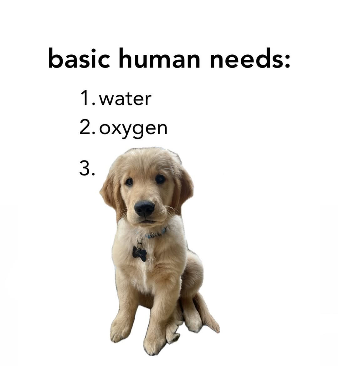 https://imagedelivery.net/BXluQx4ige9GuW0Ia56BHw/a7750136-d37f-4a31-b738-4e33658b9e00/original