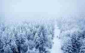 David Sanchez (craigrobinson) Farcaster social identity (Fname handle) PFP